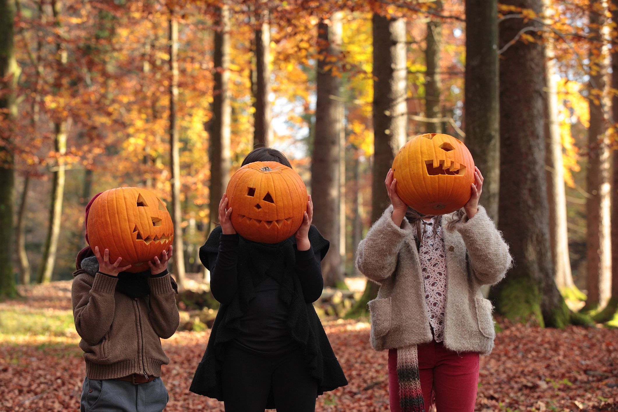 Halloween Activities You Can Do if You're Not Trick-or-Treating