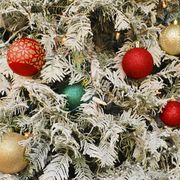Christmas ornament, Christmas tree, Christmas, Christmas decoration, Plant, Tree, Holiday ornament, Christmas eve, Interior design, Fruit, 