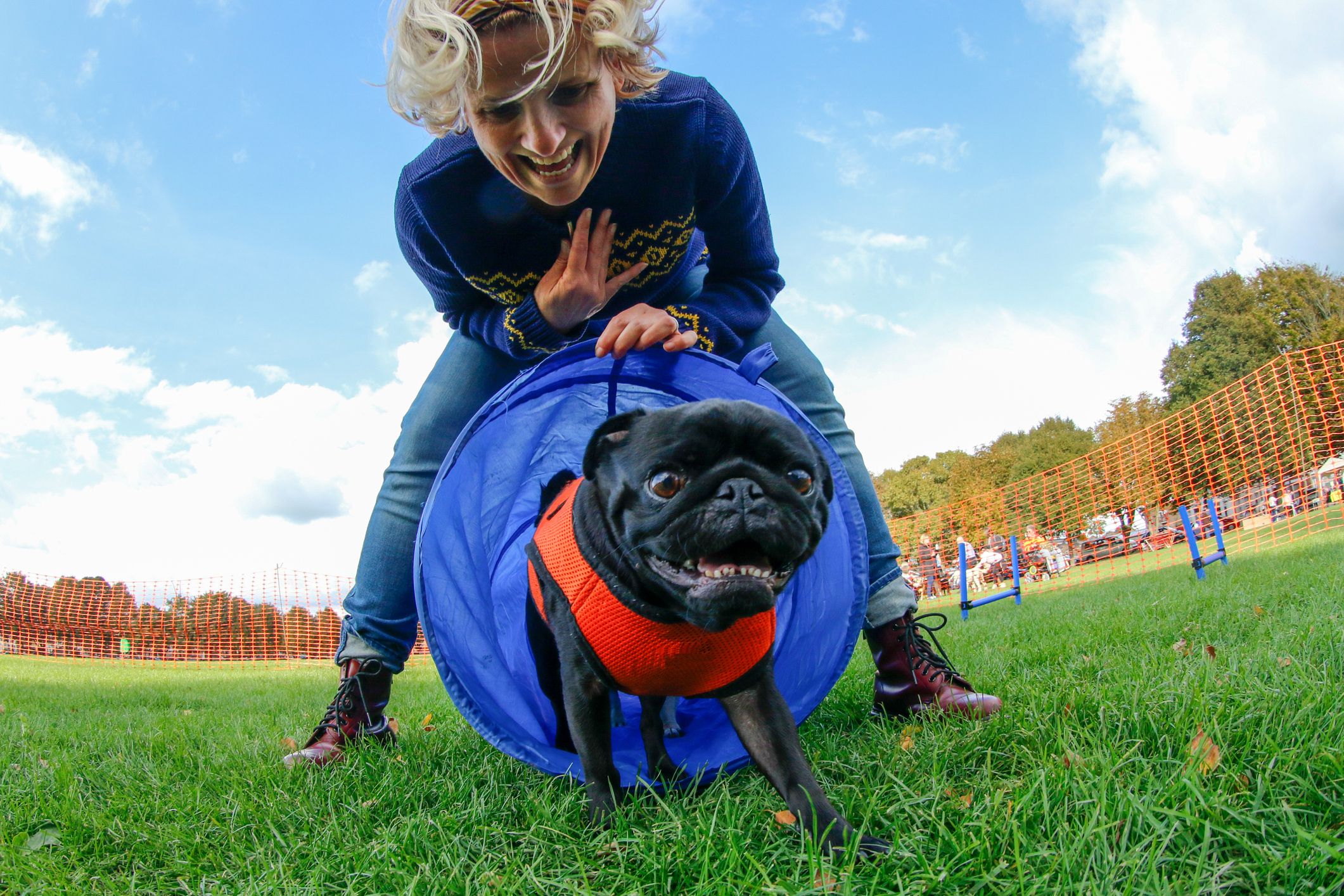 8 Fun Training Games to Play with Your Dog ✔️ Release The Hounds