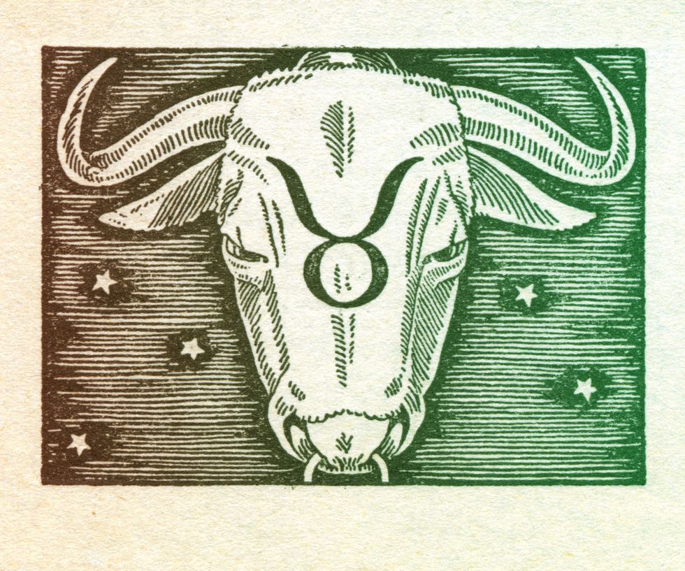 Bovine, Illustration, Bull, Working animal, Ox, Cow-goat family, Printmaking, Horn, Drawing, Livestock, 