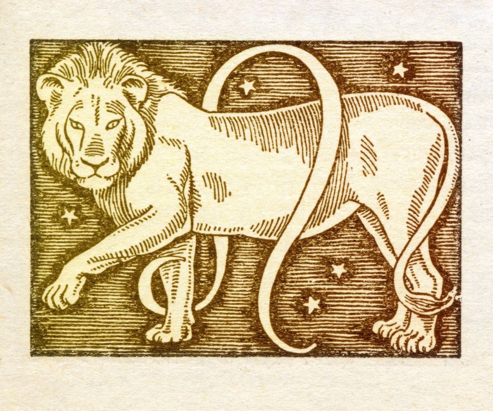 Lion, Illustration, Big cats, Felidae, Wildlife, Font, Art, Printmaking, Indian elephant, Mandrill, 