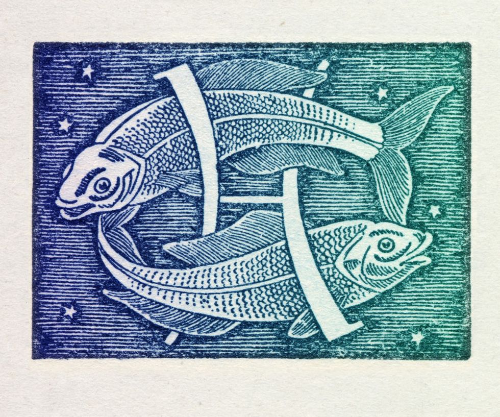 Fish, Illustration, Printmaking, Fish, Art, Marine mammal, Drawing, Blue whale, 