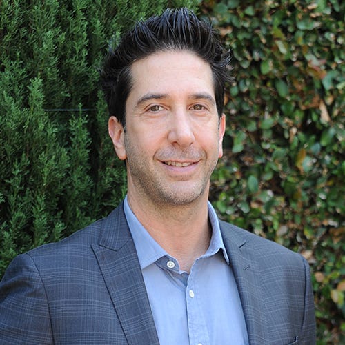 David Schwimmer - Friends, Family & Age