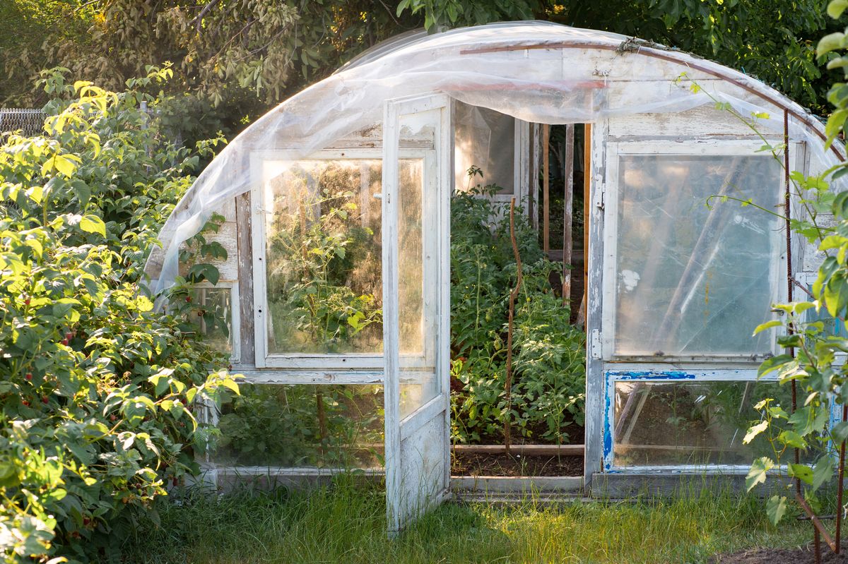 Greenhouse, House, Botany, Garden, Architecture, Outdoor structure, Plant, Building, Plant community, Tree, 