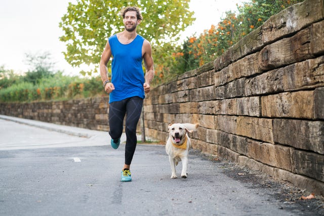 Get in shape! Five reasons why you should exercise with your dog