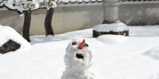 Snow, Snowman, Freezing, Winter, Geological phenomenon, Frost, Playing in the snow, Blizzard, Winter storm, 