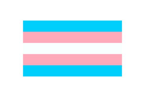vector illustration of the transgender flag on whte background
