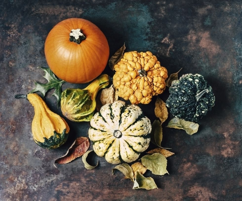 variety of pumpkins on rusty background