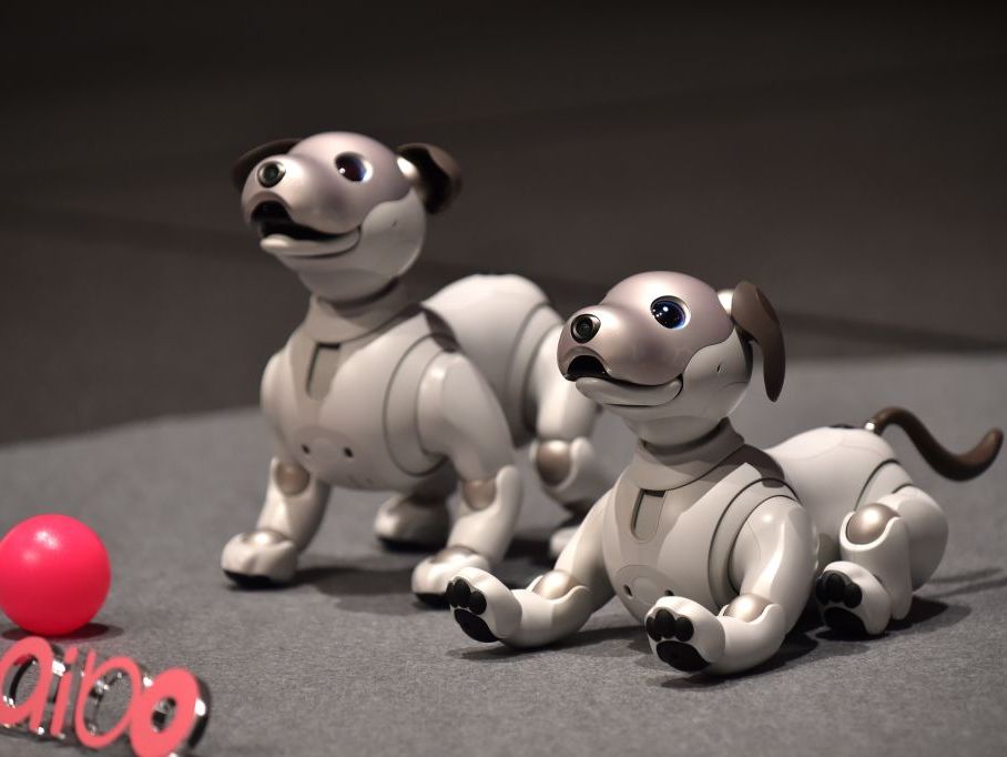 Sony's Adorable Robot Dog Is Back—And Expensive