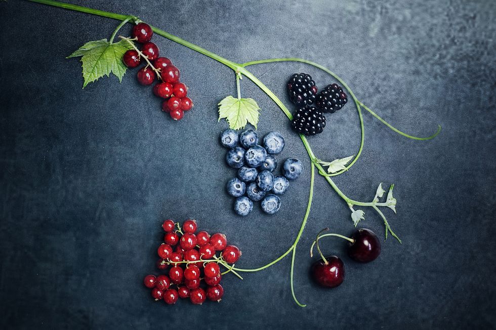 Berry, Red, Fruit, Still life photography, Plant, Zante currant, Seedless fruit, Natural foods, Elderberry, Superfruit, 