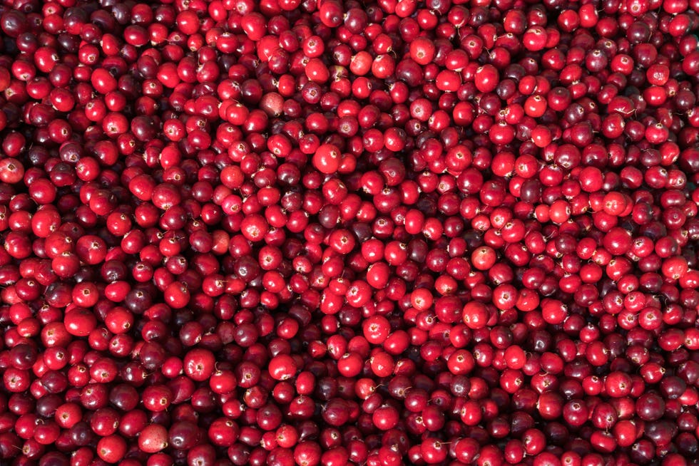 Health Benefits of Cranberries - Are Cranberries Good for You?