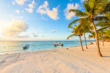 sunrise at akumal beach, paradise bay at riviera maya, caribbean coast of mexico travel destination for vacation