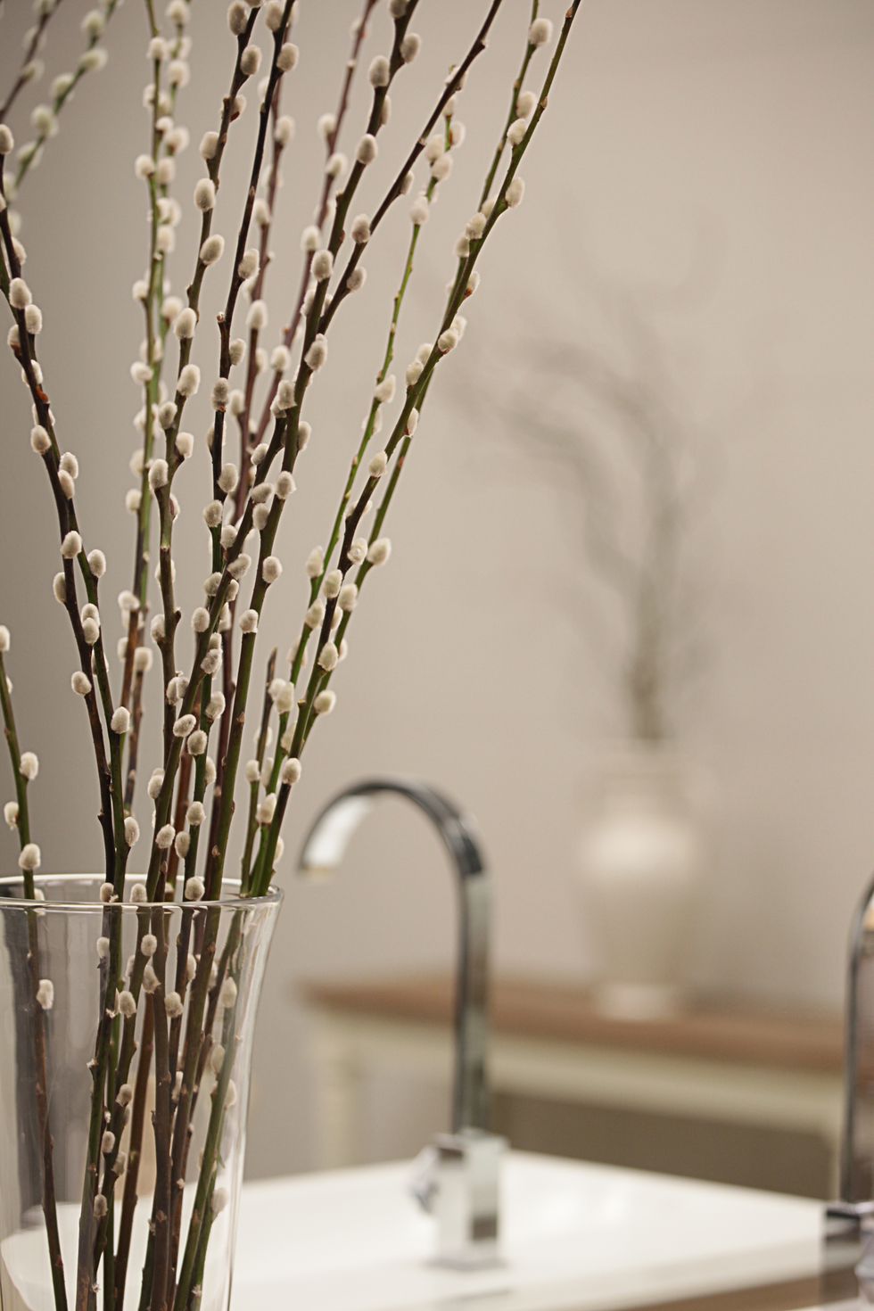 some pussy willow in vase put in a bathroom