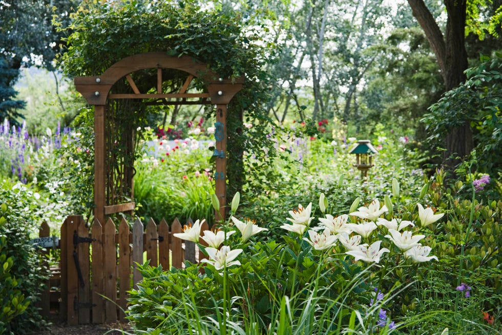 13 Garden Arbor Ideas For A Beautiful Outdoor Space