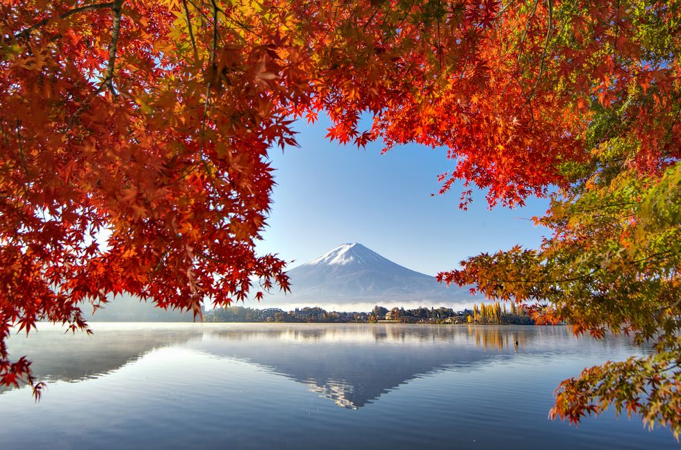 Fuji Mountain Reflection and Red Maple Trees with Morning Mist at Kawaguchiko lake in Autumn