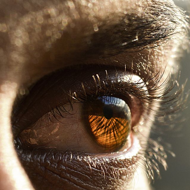 closeup of man eye india