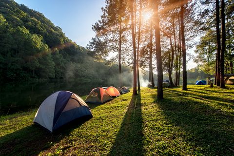 Adventures Camping and tent under the pine forest near water outdoor in morning and sunset at Pang-ung, pine forest park ,
