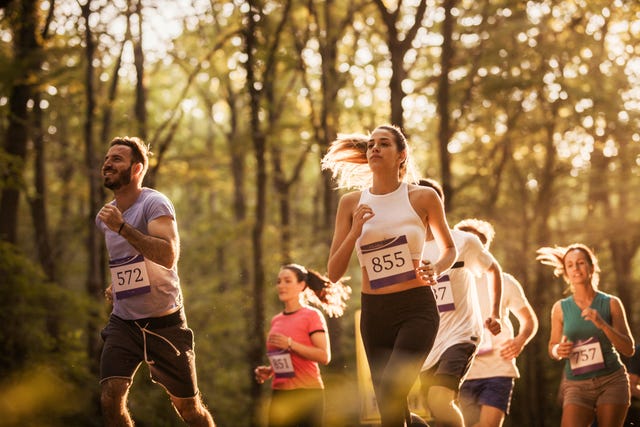 group of marathon runners having a race through the forest