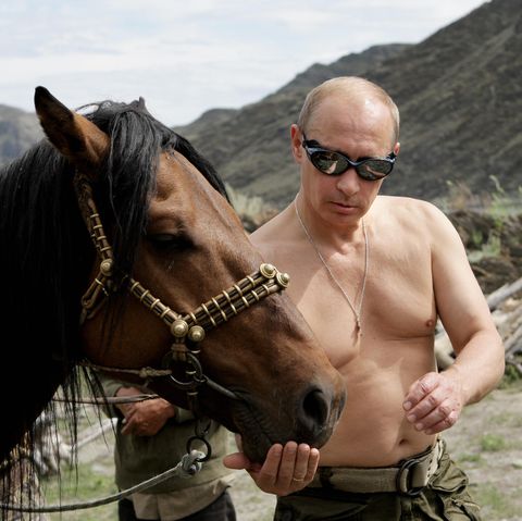 Russian Prime Minister Vladimir Putin is