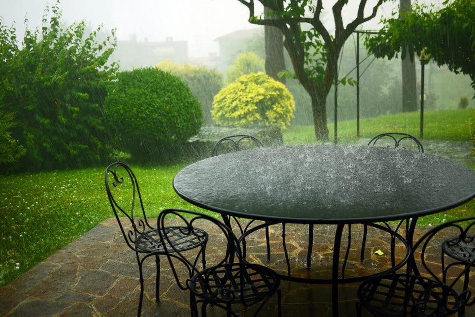 lluvia cayendo en el jardín