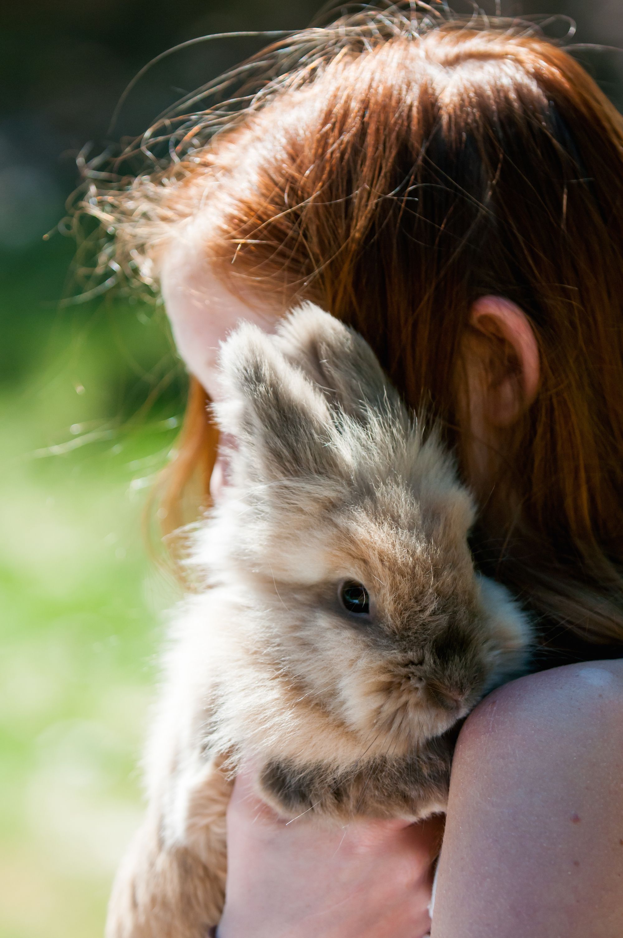 young girl holding and hugging her pet rabbit