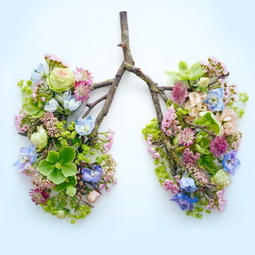 flowers, leaves, and tree branch in the shape of lungs