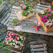 gardening tools, flowers on table
