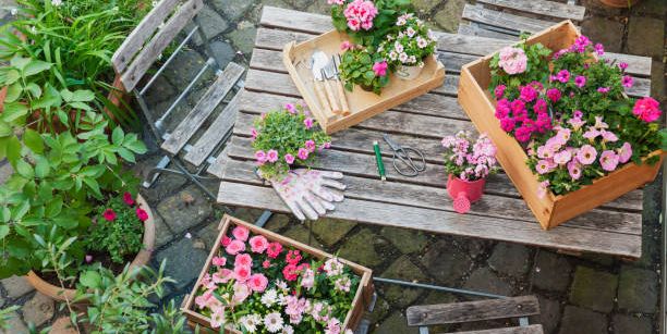 gardening tools, flowers on table