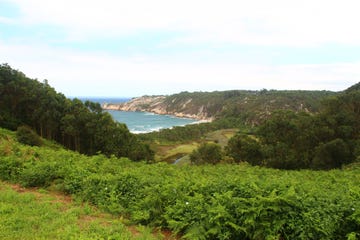 barayo asturias