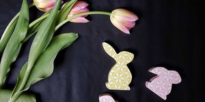 Flower, Plant, Tulip, Petal, Lily family, Iris, Easter bunny, Easter, 
