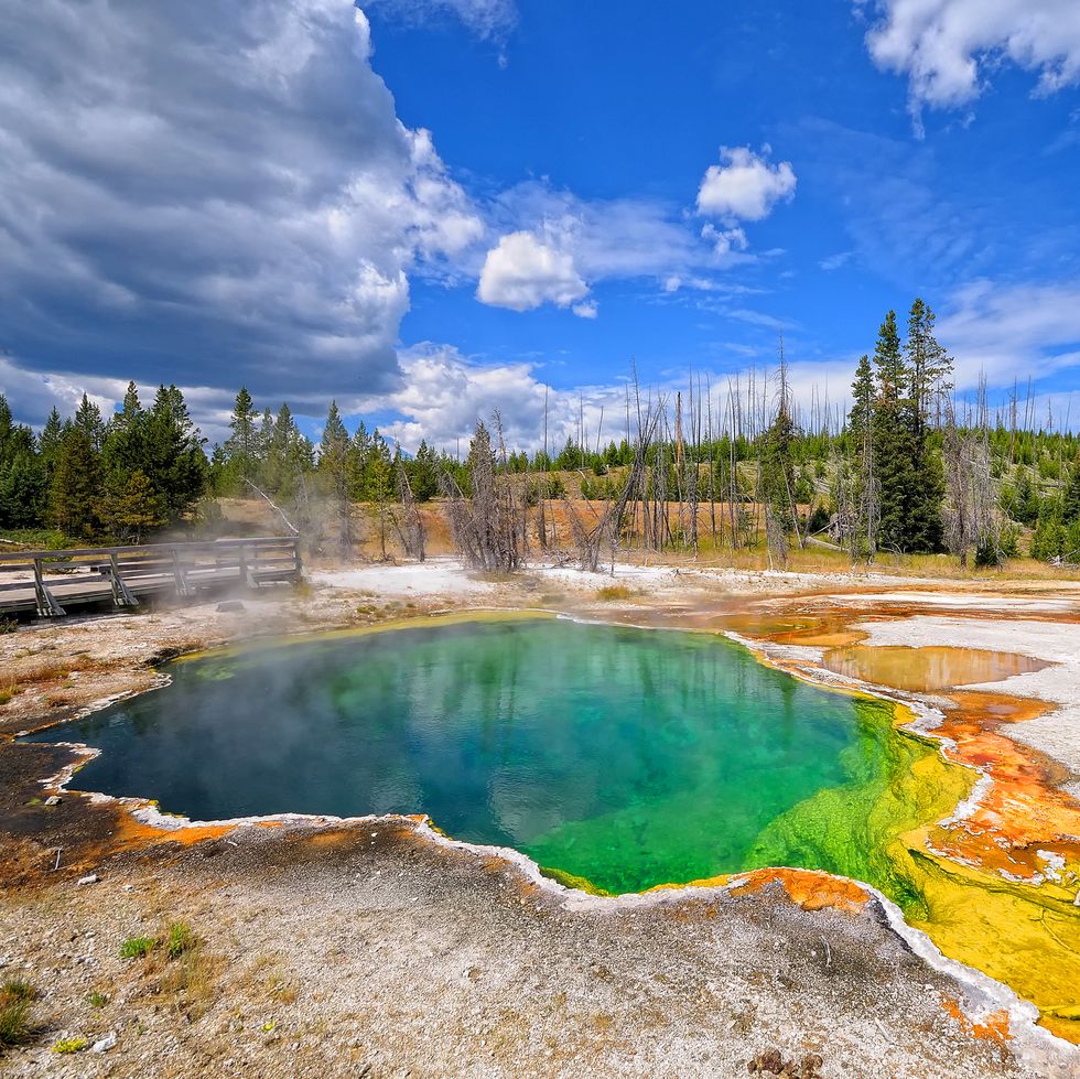 geyser in yellowstone nature and landscape