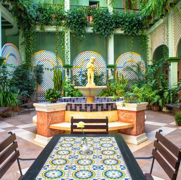 Property, Building, Interior design, Lobby, Majorelle blue, Courtyard, Botany, Houseplant, Room, Architecture, 