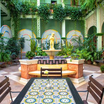 Property, Building, Interior design, Lobby, Majorelle blue, Courtyard, Botany, Houseplant, Room, Architecture, 