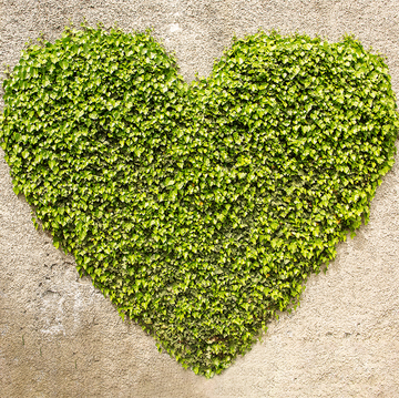 greenery heart on wall