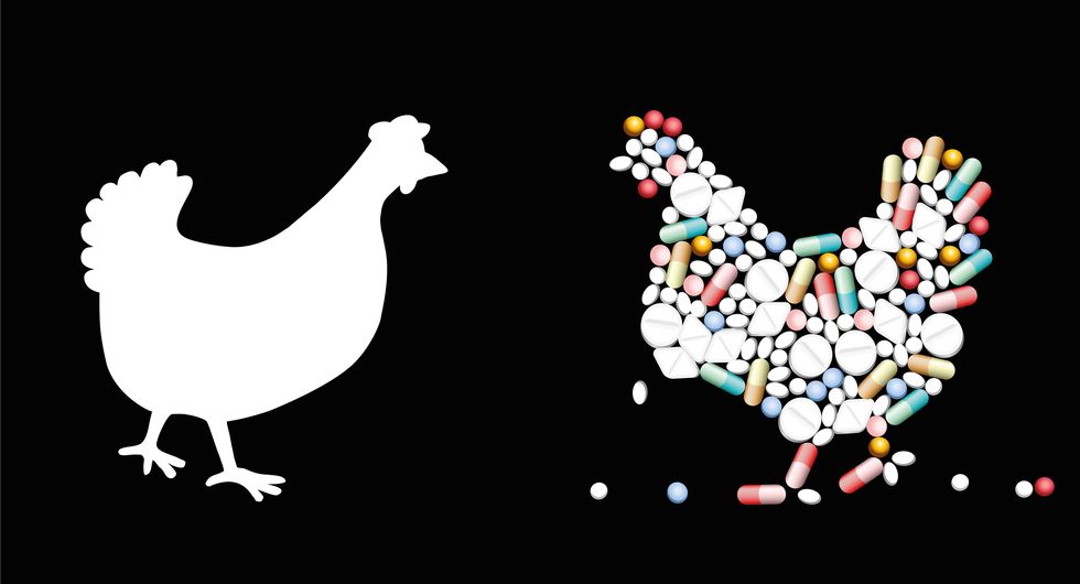 pills that shape a chicken symbol for veterinary healthcare issues, medicine, pharmacy, and antibiotics isolated vector illustration on black background