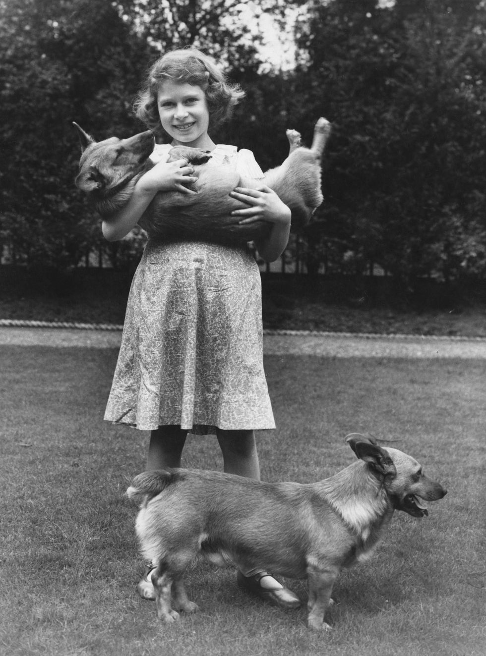 princess elizabeth now queen elizabeth ii with two corgi dogs at her home at 145 piccadilly, london, july 1936 photo by lisa sheridanstudio lisahulton archivegetty images