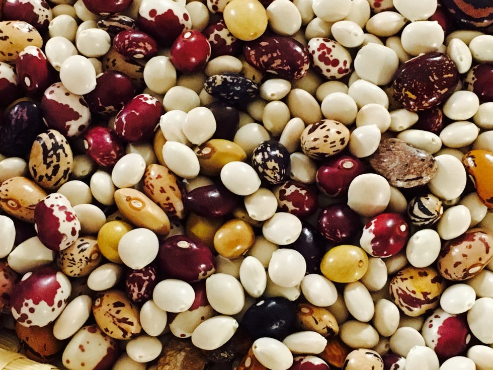 Mixed nuts, Food, Cranberry bean, Bean, Superfood, Common bean, Mixture, Cuisine, Plant, Vegetable, 