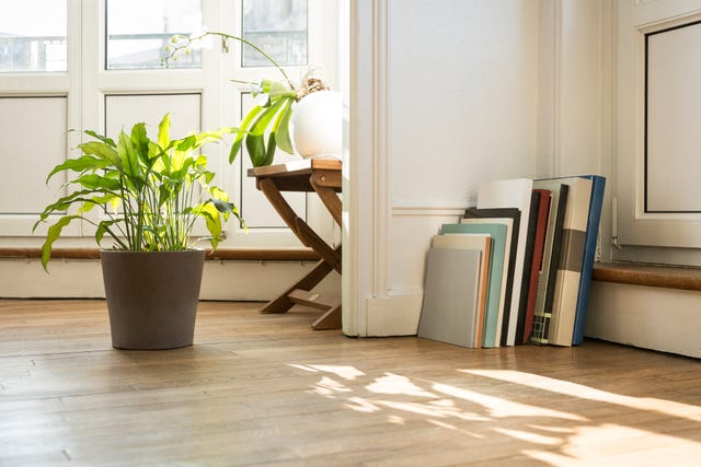 Floor, Flooring, Tile, Room, Houseplant, Laminate flooring, Interior design, Wood flooring, Furniture, Hardwood, 