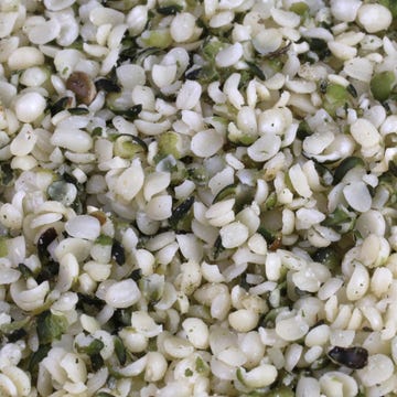hemp seeds hemp seeds