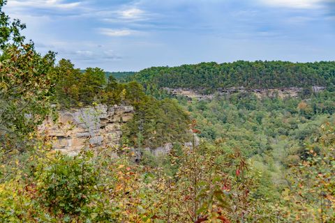 red river gorge geological area
