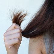 Cropped Image Of Woman Holding Hair