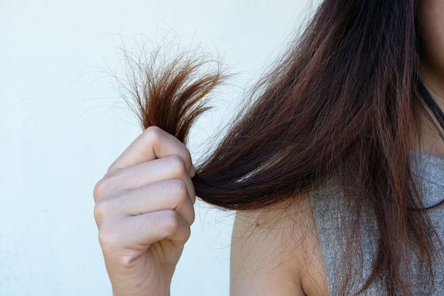 Cropped Image Of Woman Holding Hair