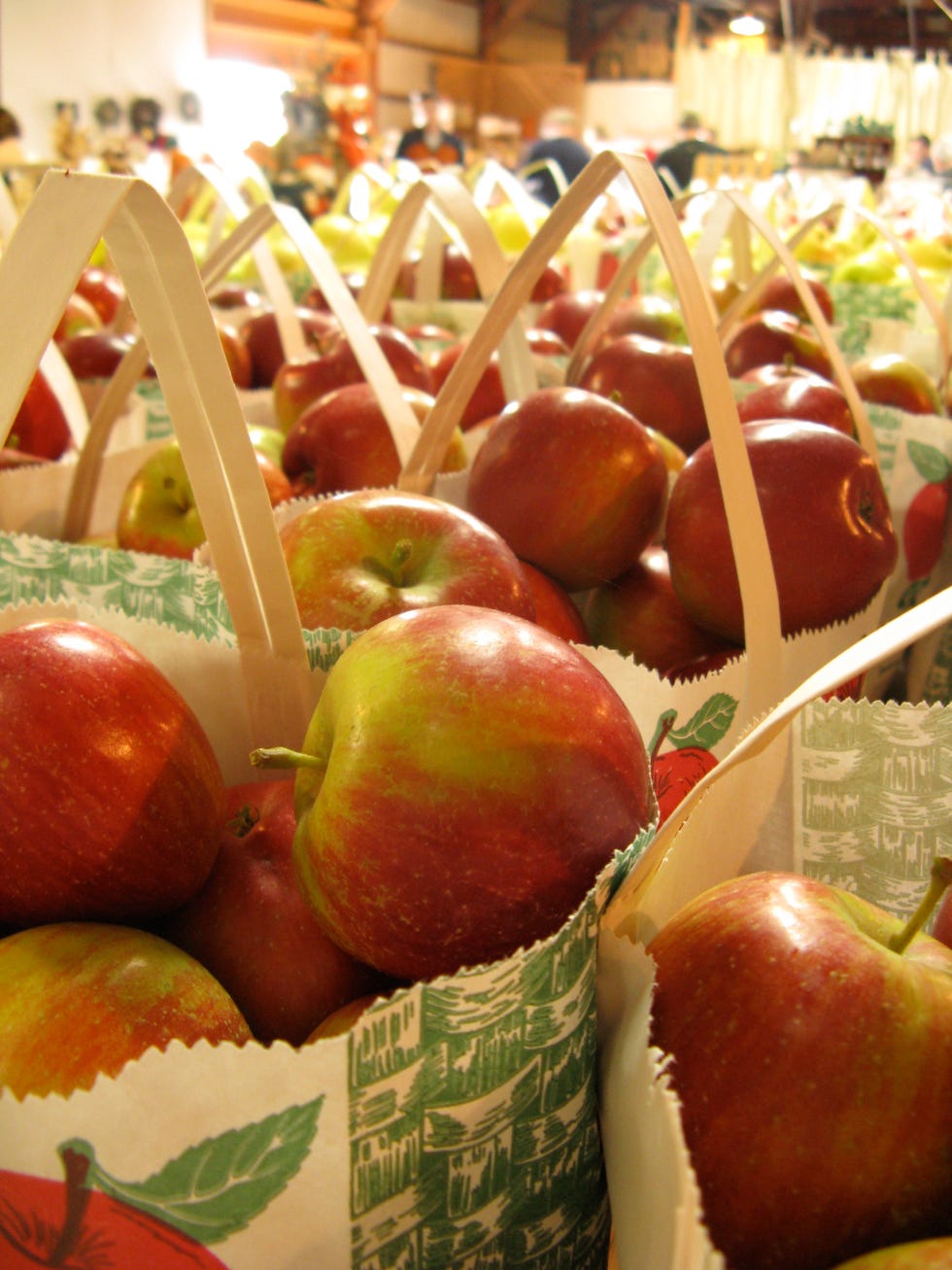 At the Apple House
