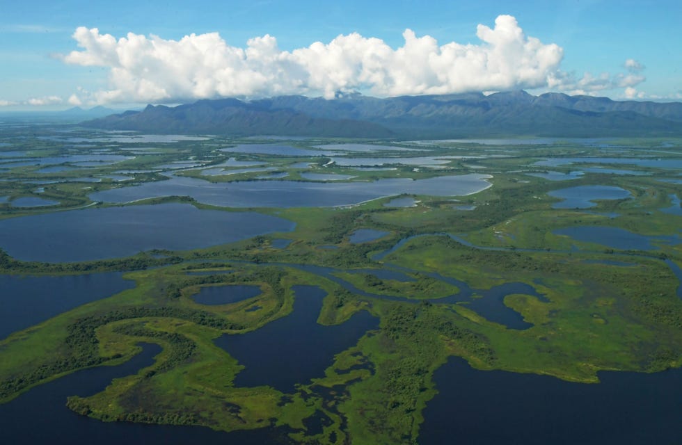 De Pantanal is het grootste aaneengesloten drasland op aarde en strekt zich uit over delen van Brazili Bolivia en Paraguay Er komen ruim vierduizend verschillende soorten wilde flora en fauna voor en ook de hoogste dichtheid aan jaguars waar ook ter wereld Maar wetenschappers en activisten waarschuwen ervoor dat het ecosysteem gevaar loopt te verdwijnen