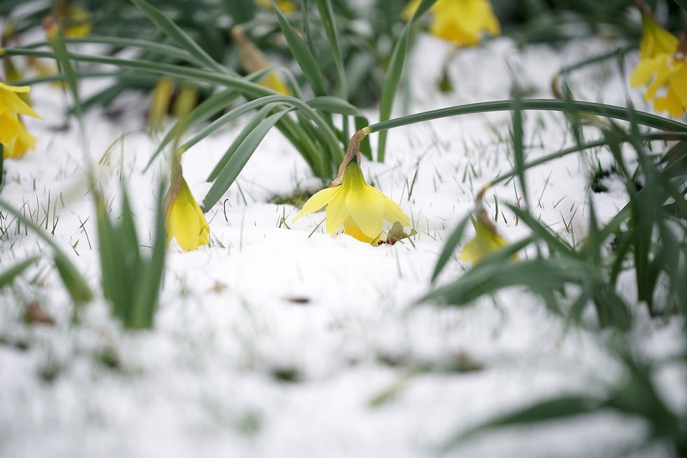 Weather experts predict it could snow again over Easter weekend