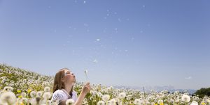 People in nature, Meadow, Sky, Spring, dandelion, Yellow, Natural environment, Natural landscape, Wildflower, Field, 