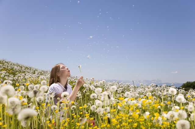 People in nature, Meadow, Sky, Spring, dandelion, Yellow, Natural environment, Natural landscape, Wildflower, Field, 
