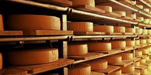 Wood, Inventory, Lumber, Hardwood, Gruyère cheese, Book, 