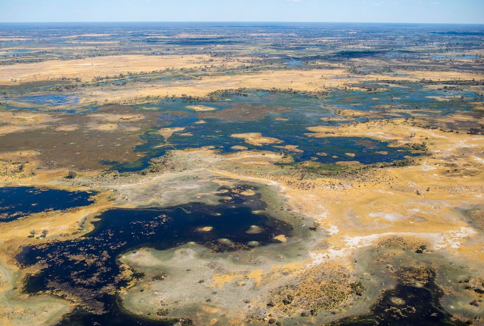 Op deze luchtfoto is de Okavangodelta in het noorden van Botswana te zien De delta komt tussen mei en september onder water te staan en vormt een van de zoetwatergebieden met de hoogste biodiversiteit in heel zuidelijk Afrika