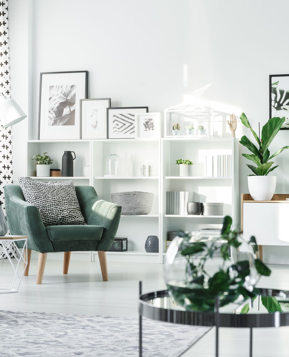green armchair with black and white pillow standing in bright living room interior with posters and rack with decor